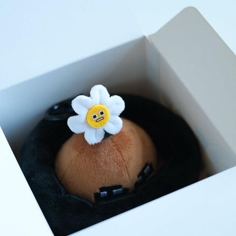 Potatoz plush toy with a flower-shaped face peeking out of an open box on a light background