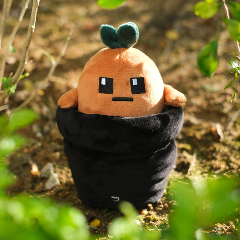 Potatoz plush toy resembling a character with a carrot-like top in a natural setting